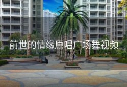 前世的情缘原唱广场舞视频