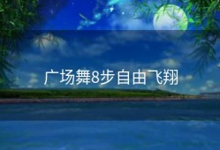 广场舞8步自由飞翔