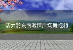 活力黔东南激情广场舞视频