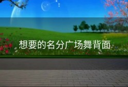 想要的名分广场舞背面