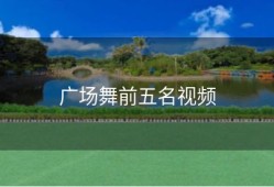 广场舞前五名视频