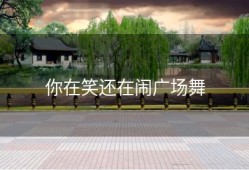 你在笑还在闹广场舞
