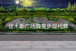 佳木斯广场舞鬼步现代舞