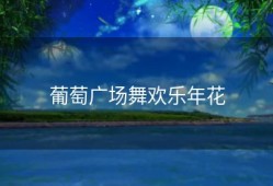 葡萄广场舞欢乐年花