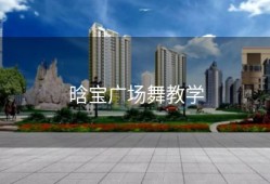 晗宝广场舞教学