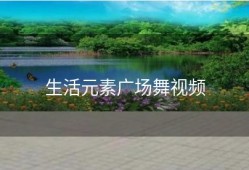 生活元素广场舞视频