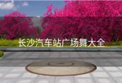 长沙汽车站广场舞大全