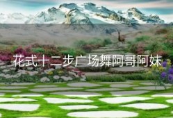 花式十二步广场舞阿哥阿妹