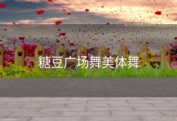 糖豆广场舞美体舞