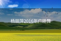 杨丽萍2016年广场舞