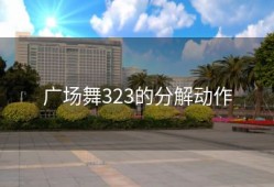 广场舞323的分解动作