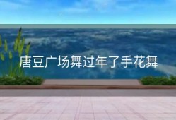 唐豆广场舞过年了手花舞