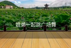 姐弟一起跳广场舞