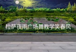 拉萨夜雨广场舞教学笑春风