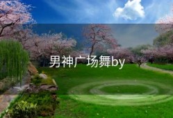 男神广场舞by