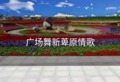 广场舞新萆原情歌