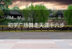 初学广场舞走天涯十六步