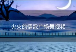 火火的情歌广场舞视频