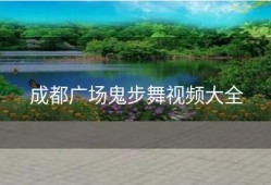 成都广场鬼步舞视频大全