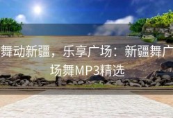 舞动新疆，乐享广场：新疆舞广场舞MP3精选