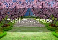 广场舞比赛入场方式视频