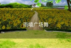 雨嘻广场舞