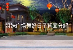 姐妹广场舞好日子背面分解