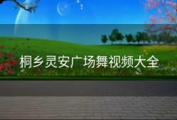 桐乡灵安广场舞视频大全