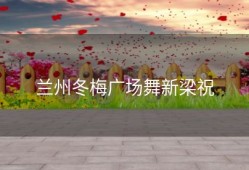 兰州冬梅广场舞新梁祝