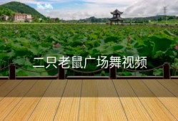二只老鼠广场舞视频