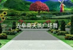 去阜南天筑广场舞