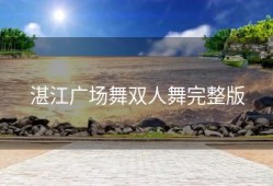 湛江广场舞双人舞完整版