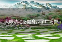 大眼晴动感健身步子广场舞