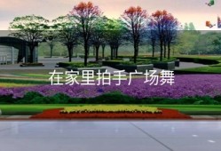 在家里拍手广场舞