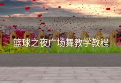 篮球之夜广场舞教学教程