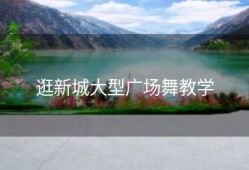 逛新城大型广场舞教学