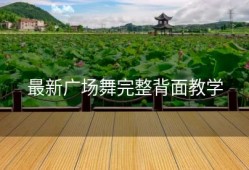 最新广场舞完整背面教学