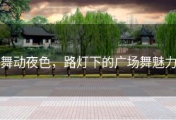舞动夜色，路灯下的广场舞魅力