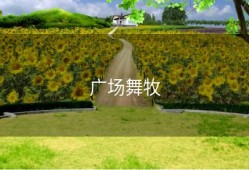 广场舞牧