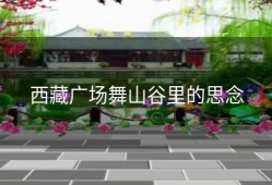 西藏广场舞山谷里的思念