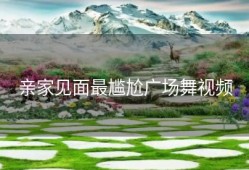 亲家见面最尴尬广场舞视频