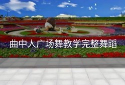 曲中人广场舞教学完整舞蹈