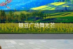 糖豆广场舞光芒