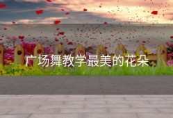 广场舞教学最美的花朵