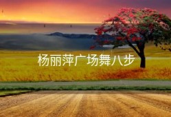 杨丽萍广场舞八步