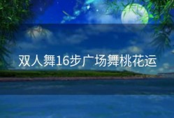 双人舞16步广场舞桃花运