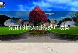 梨花的情人泪微妙广场舞