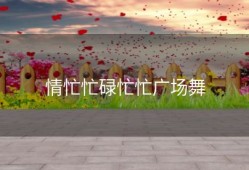 情忙忙碌忙忙广场舞