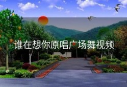 谁在想你原唱广场舞视频