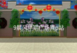 9晨风早期广场舞p站